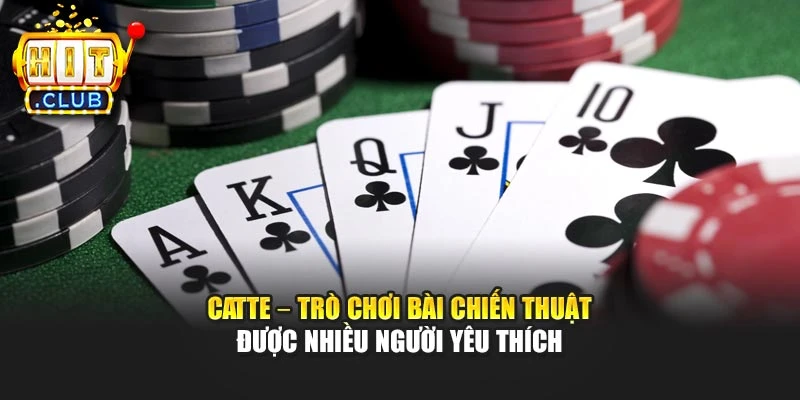 Catte – Trò Chơi Bài Chiến Thuật Được Nhiều Người Yêu Thích